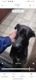 Lupito