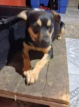 Lupita