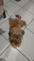 Romeu
