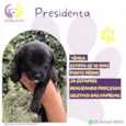 Presidenta