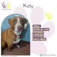 Kelly