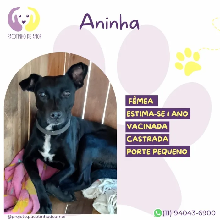 Cachorro raça SRD-ViraLata idade 1 ano nome Aninha