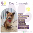 Bob Caramelo