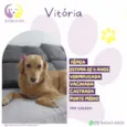 Vitória