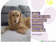 Vitória