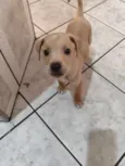 Luck