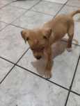 Luck