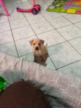 Luck