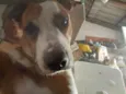 Mel