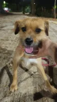 Carlota