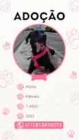 Kiara