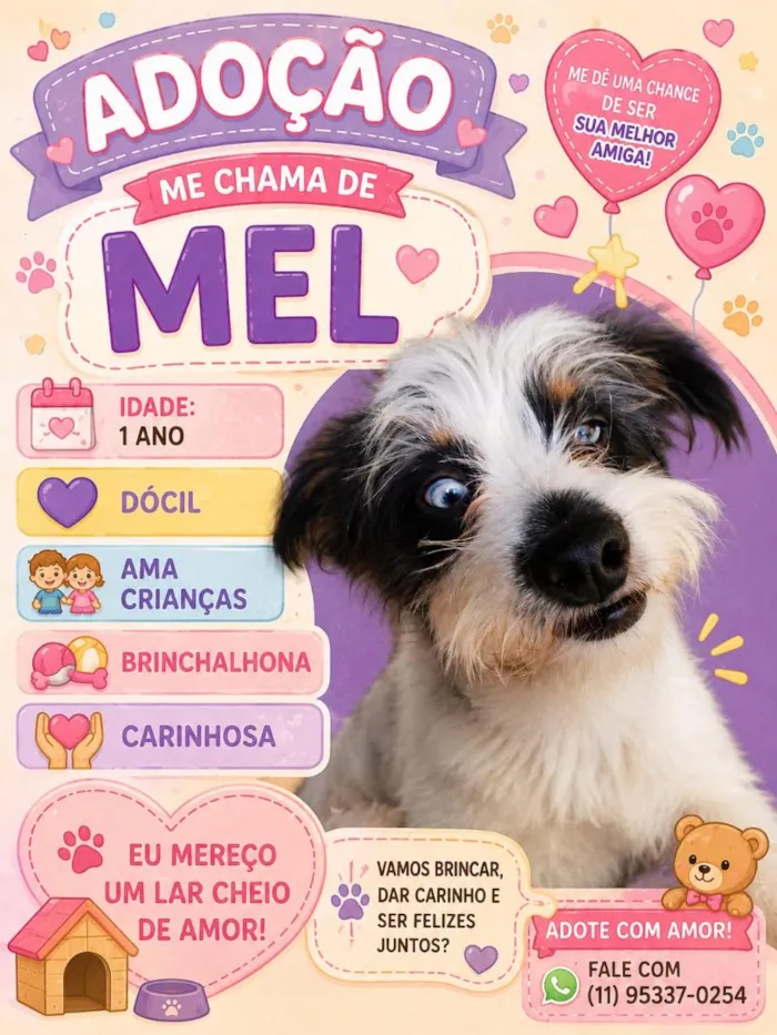 Cachorro raça SRD-ViraLata idade 1 ano nome Mel
