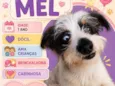 Mel