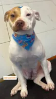 kira