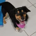amora 