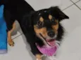 amora 