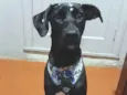 Kiara