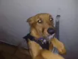 Meg