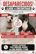 Duque