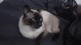 Ellie