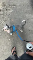 Ralph 
