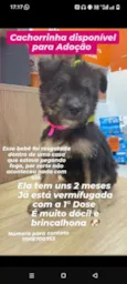 Zoe