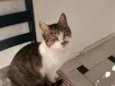Cléo 