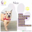 Nick
