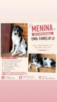 Menina