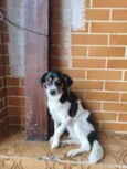Menina