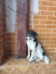 Menina
