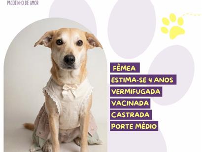 Ana Castela - São Paulo
