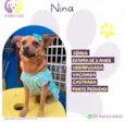 Nina