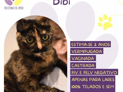 Bibi - São Paulo