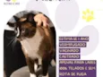 Valentim