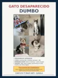 Dumbo