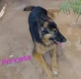 Princesa