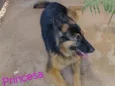 Princesa