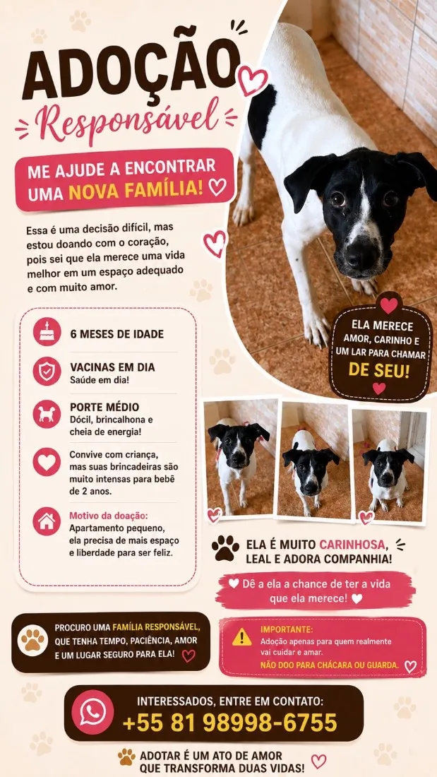 Cachorro raça SRD-ViraLata idade 2 a 6 meses nome Dora