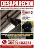 Athena