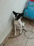 nao tem nome 
