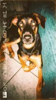 Ares
