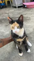Mine 