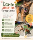 Dono da Rua
