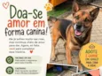 Dono da Rua