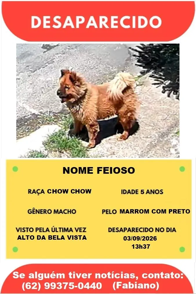 Cachorro raça SRD-ViraLata idade 5 anos nome Feioso
