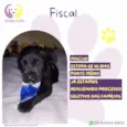 Fiscal