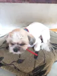 Billy