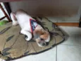 Billy