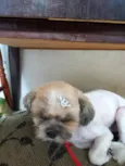 Billy